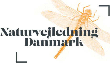 Naturvejledning Danmark
