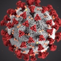 coronavirus.jpg